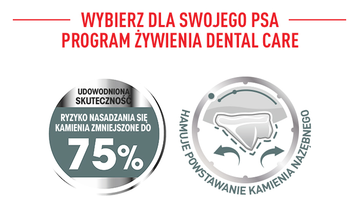 ROYAL CANIN CCN Maxi Dental Care